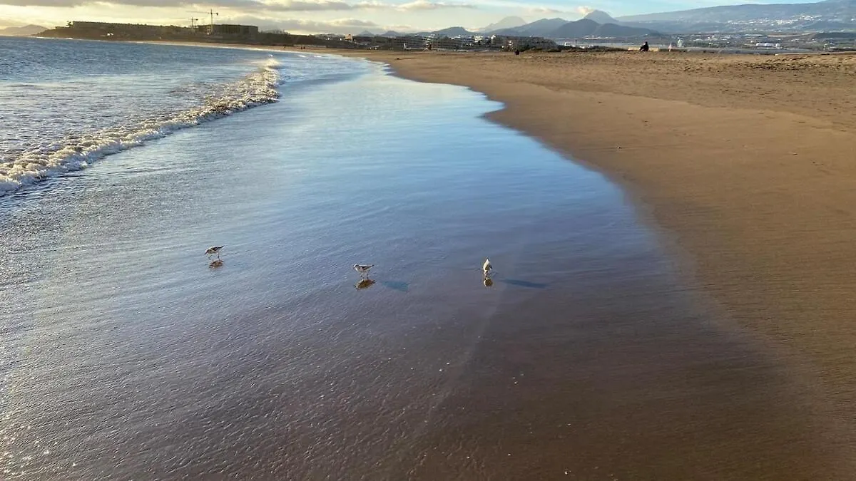 Bow Penthouse, On The Best Beach In El Medano La Tejita Spain